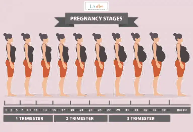 First Trimester (Weeks 1–12): Early Changes You Might Not Notice Henley-In-Arden